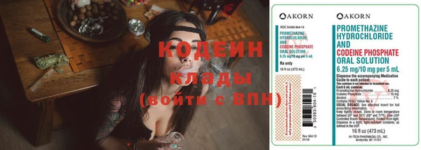 гашик Абаза