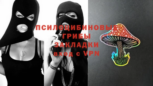 гашик Абаза